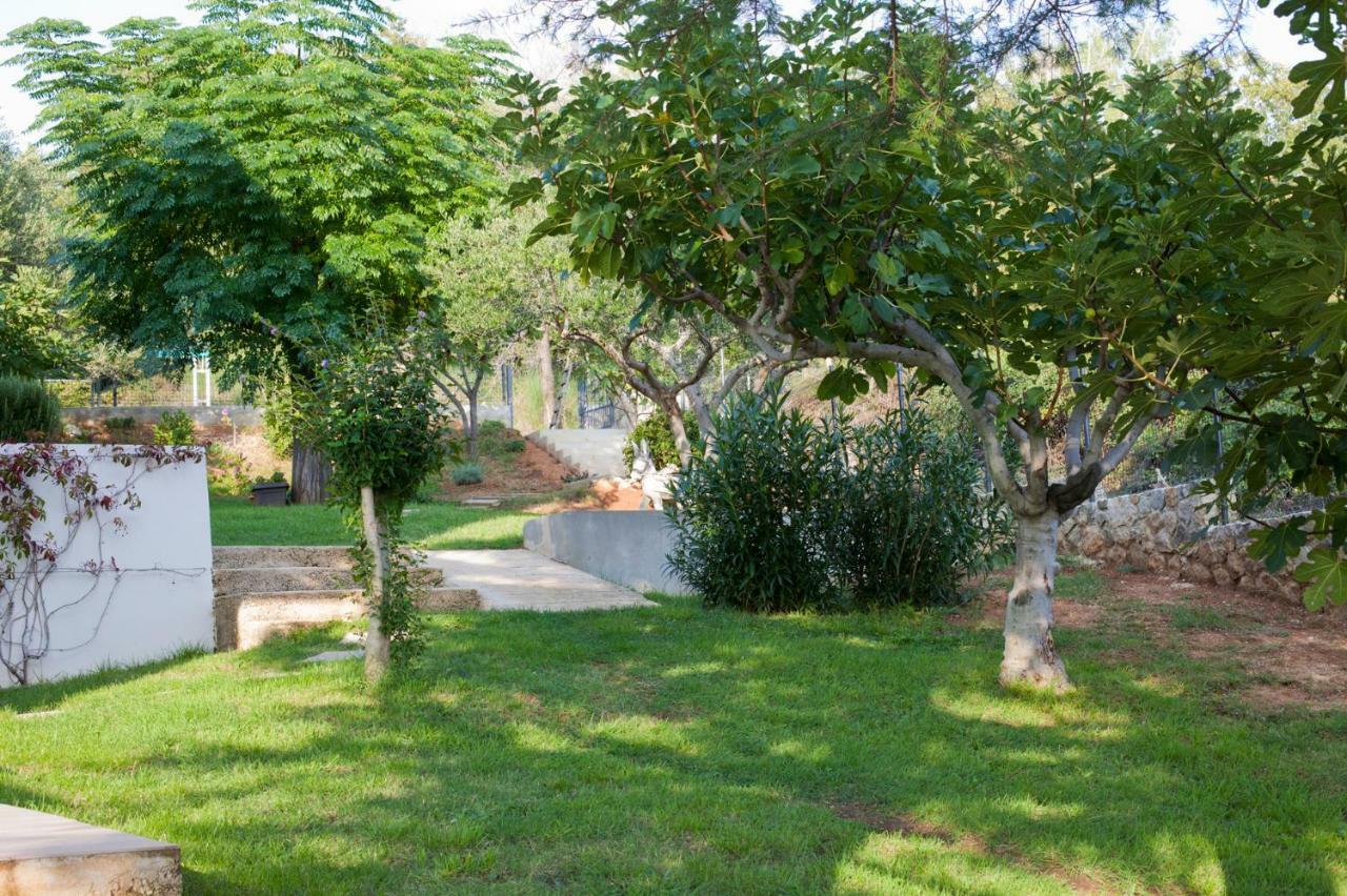 Apartment Robinson Podvrsje Luaran gambar